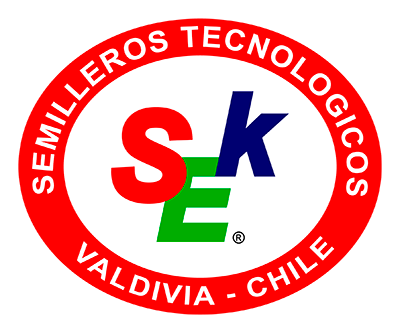 SEk